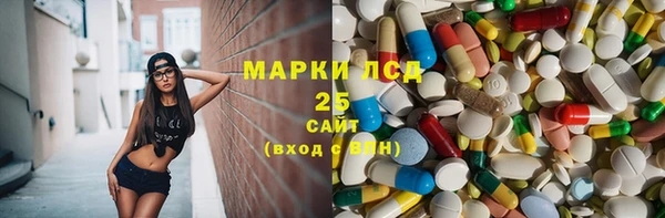 шишки Костерёво