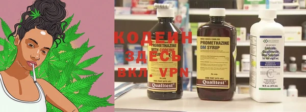шишки Костерёво