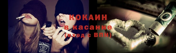 сатива Киров