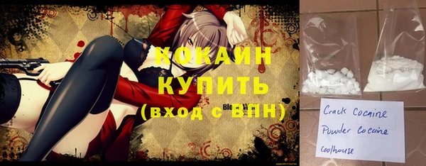 шишки Костерёво