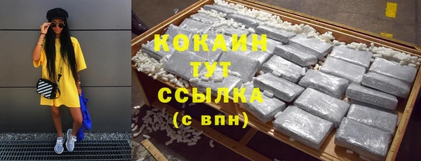 шишки Костерёво