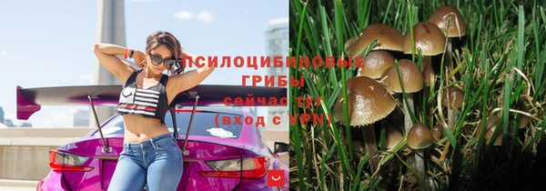 скорость Корсаков