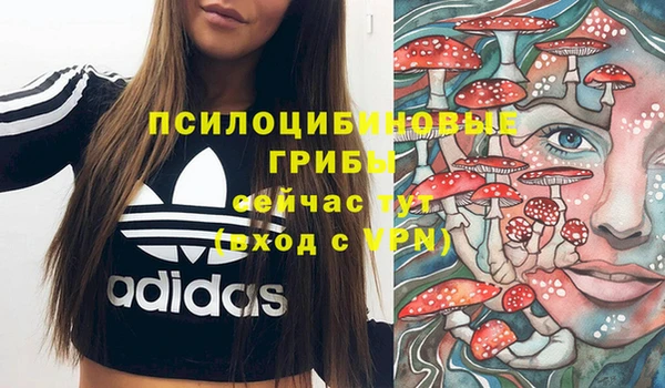 скорость Корсаков