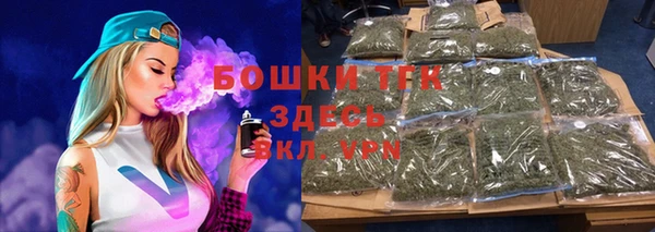 шишки Костерёво