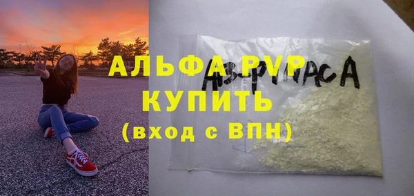 шишки Костерёво