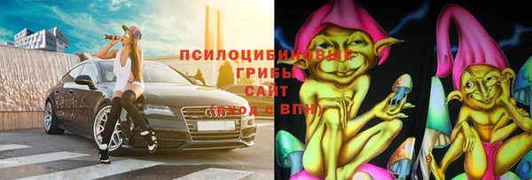 шишки Костерёво