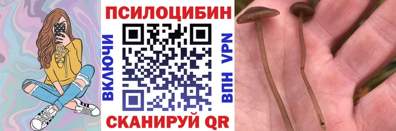 Псилоцибиновые грибы Magic Shrooms  Северобайкальск 