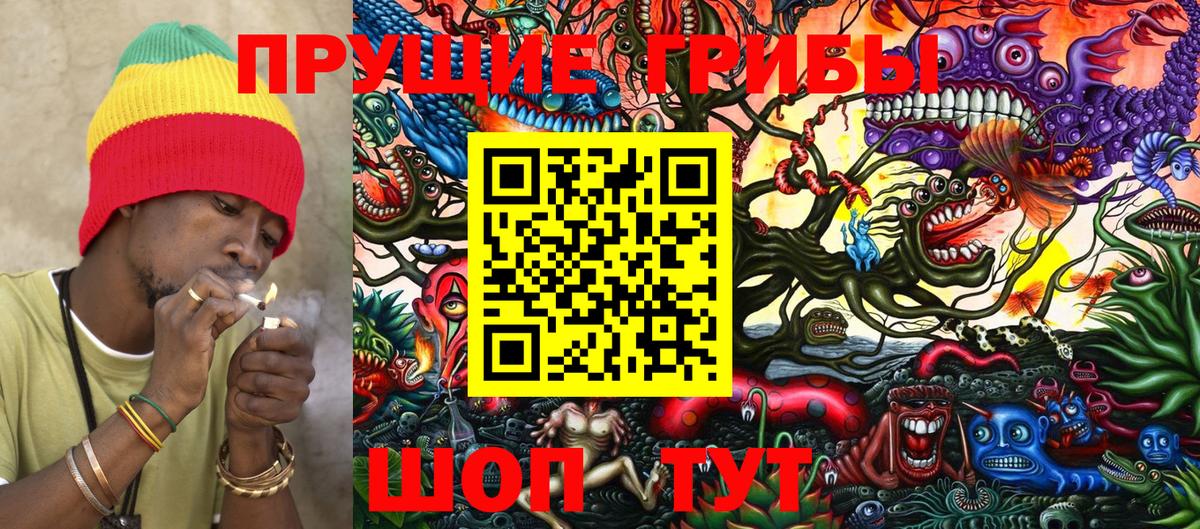 Псилоцибиновые грибы мицелий  Вход с VPN  Псилоцибиновые грибы Psilocybe  Северобайкальск 