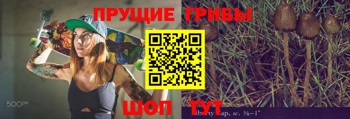 Галлюциногенные грибы Cubensis Северобайкальск